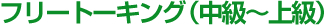 フリートーキング（中級〜上級）